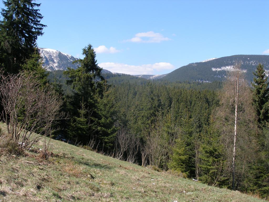 Pecka Penzion Pec pod Sněžkou Buitenkant foto